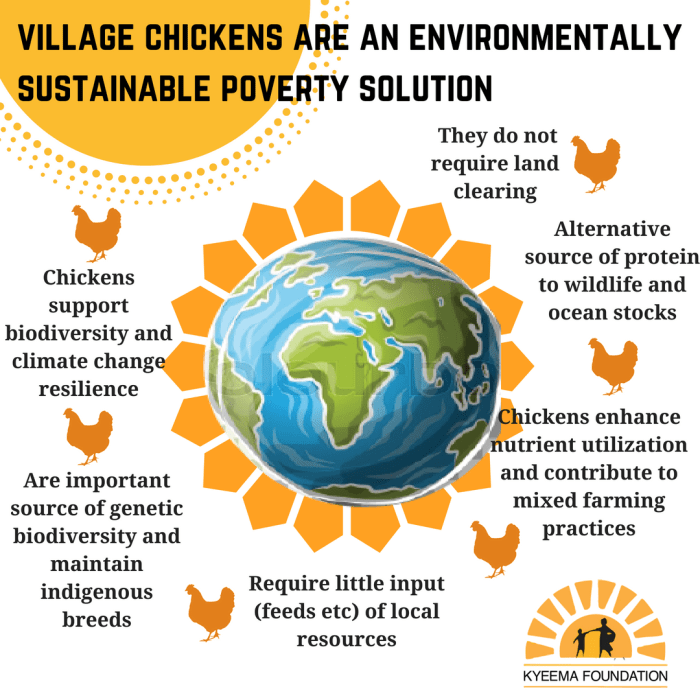 Mengembangkan Model Pengelolaan Habitat Ayam Hutan Yang Berkelanjutan