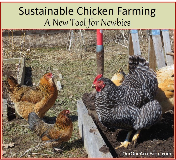 Farming chicken sustainable chickens tool humane newbies ouroneacrefarm backyard farm composting throughout gardening fall spring help little our article