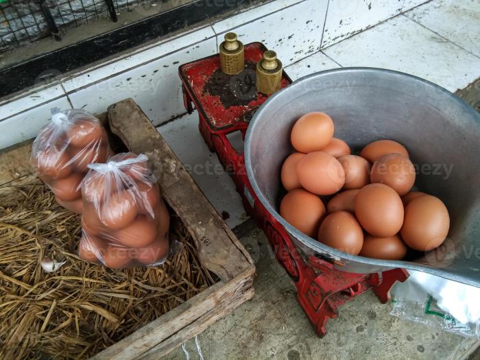 Mengembangkan Packaging Yang Menarik Untuk Telur Ayam Kampung